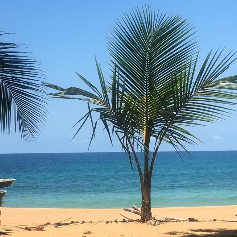 Turtle Beach House Bocas del Toro Zewnętrze zdjęcie