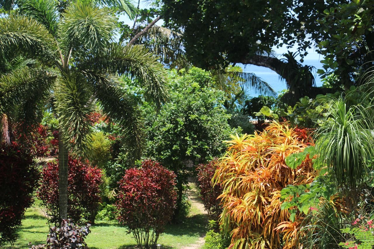 Turtle Beach House Bocas del Toro Zewnętrze zdjęcie