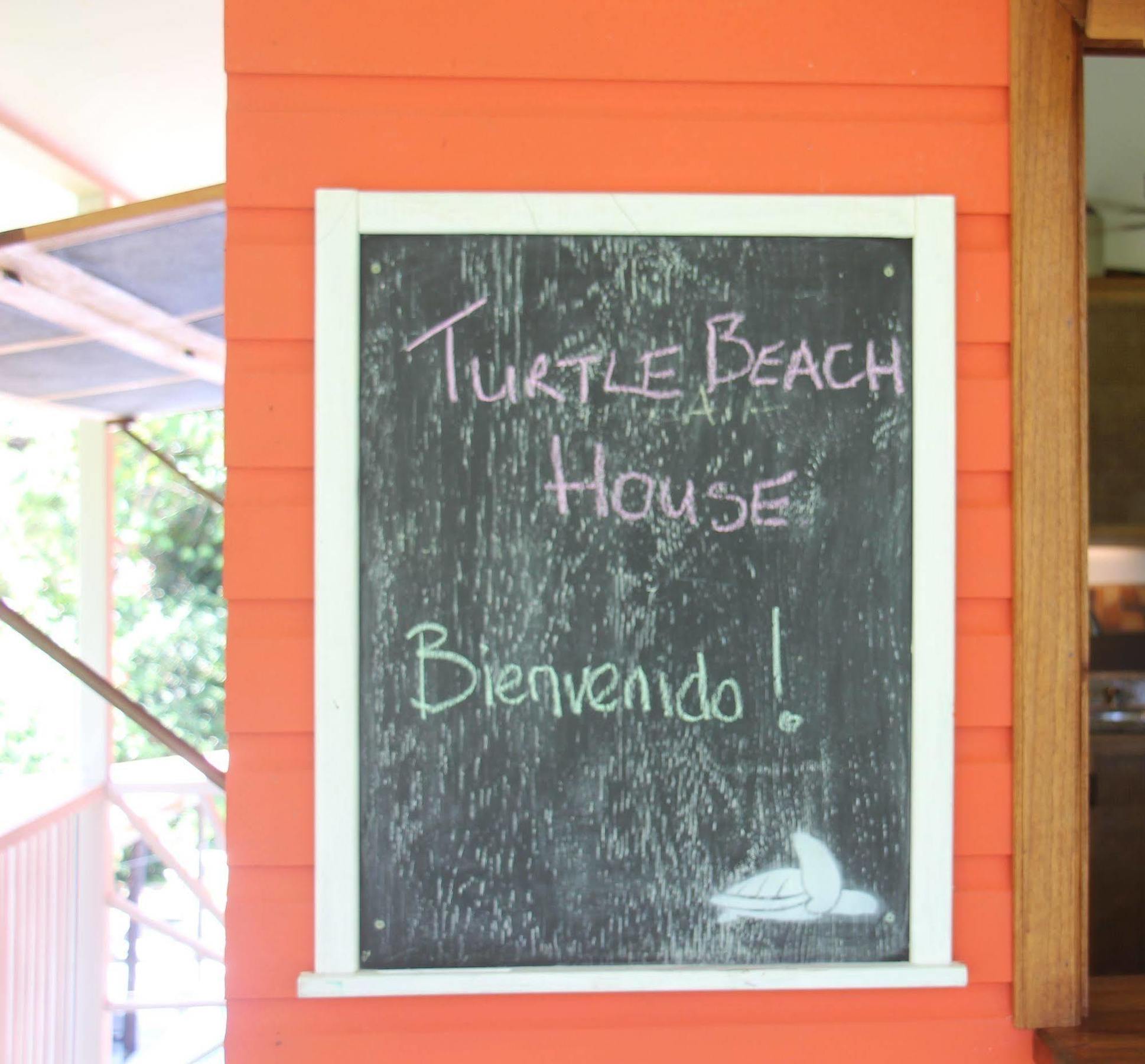 Turtle Beach House Bocas del Toro Zewnętrze zdjęcie