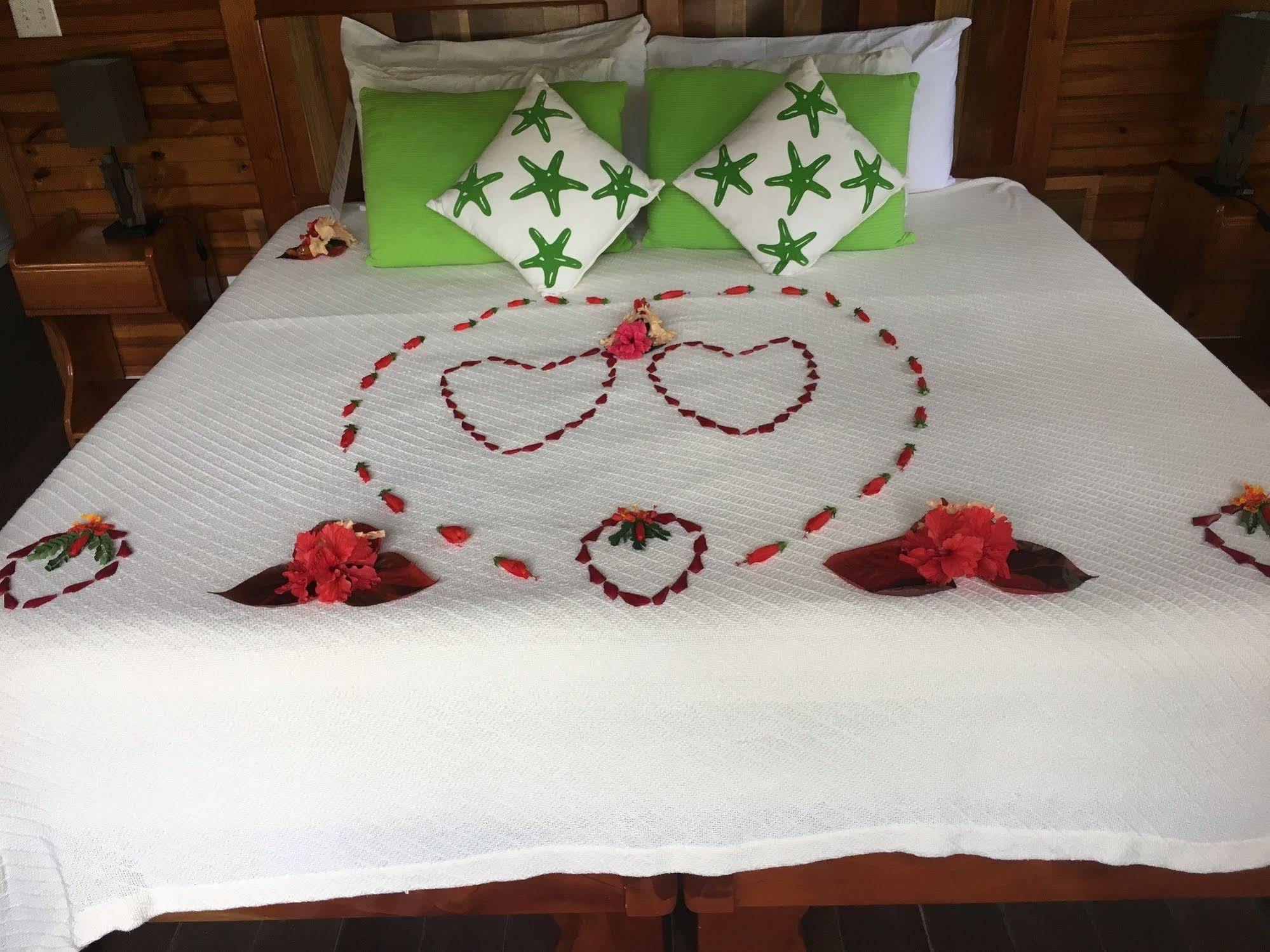 Turtle Beach House Bocas del Toro Zewnętrze zdjęcie