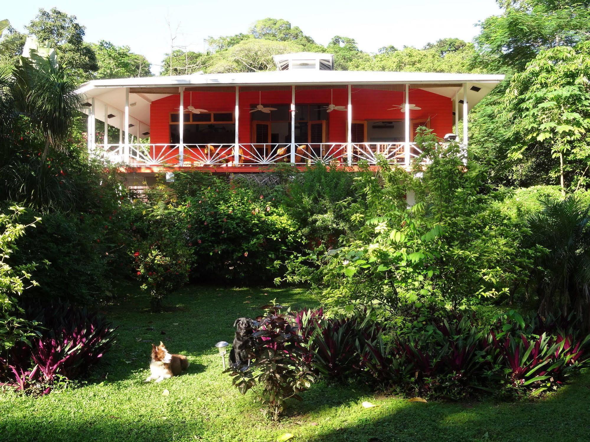 Turtle Beach House Bocas del Toro Zewnętrze zdjęcie