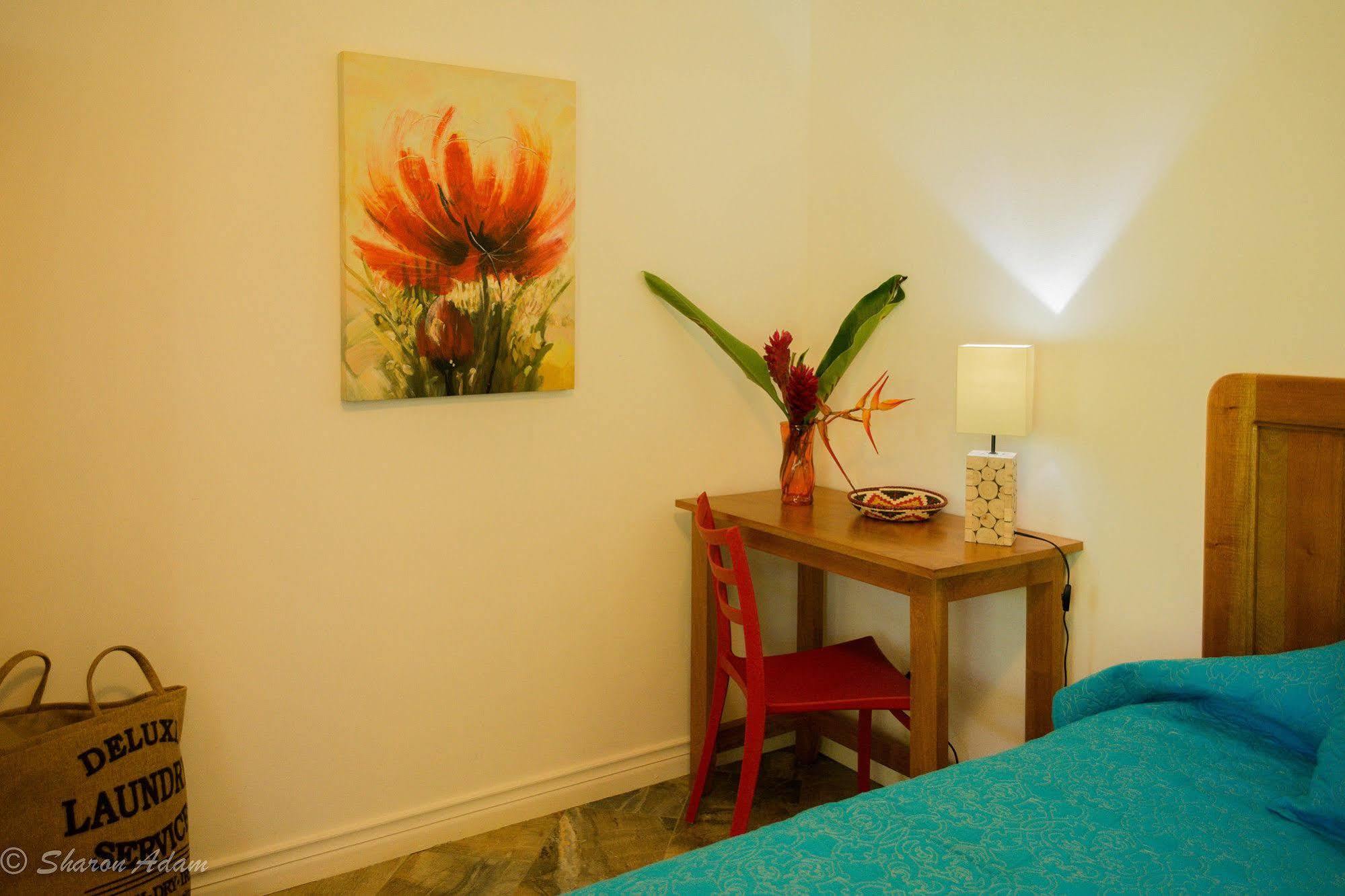 Turtle Beach House Bocas del Toro Zewnętrze zdjęcie